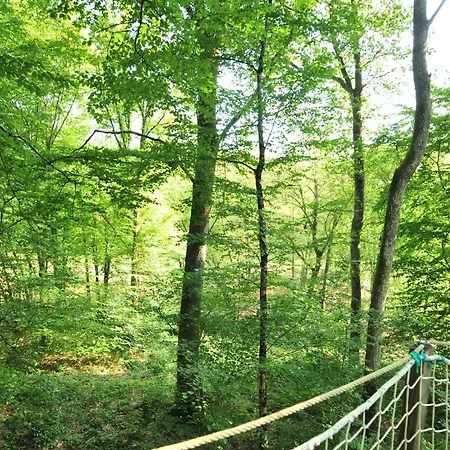 Campo de lujo Bulle Espace Fouletot